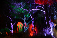 Gartenlichter