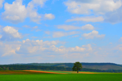 Maulbronn15