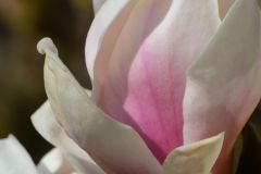 UF1_3795-2